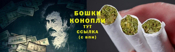 2c-b Белокуриха