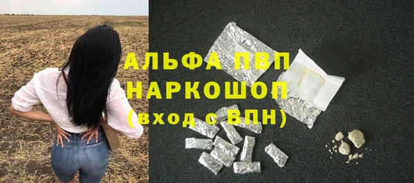 PSILOCYBIN Баксан