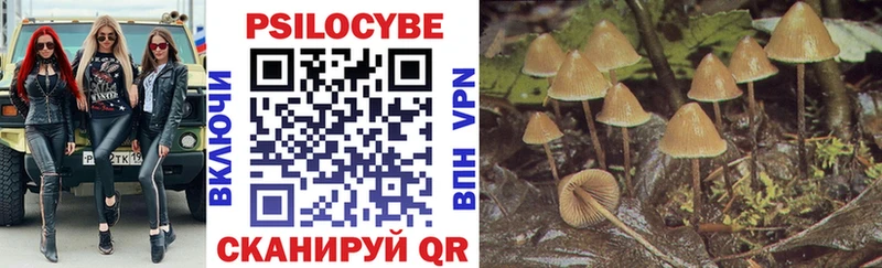 Псилоцибиновые грибы Psilocybe даркнет сайт Ижевск